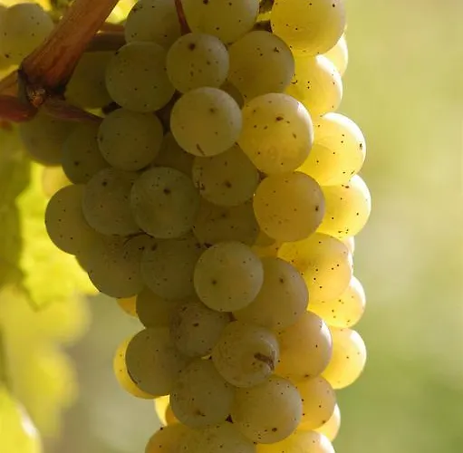 Lägenhet Reverchon Filzen