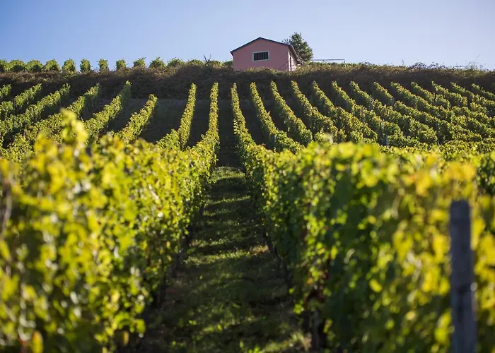 Reverchon Lägenhet *